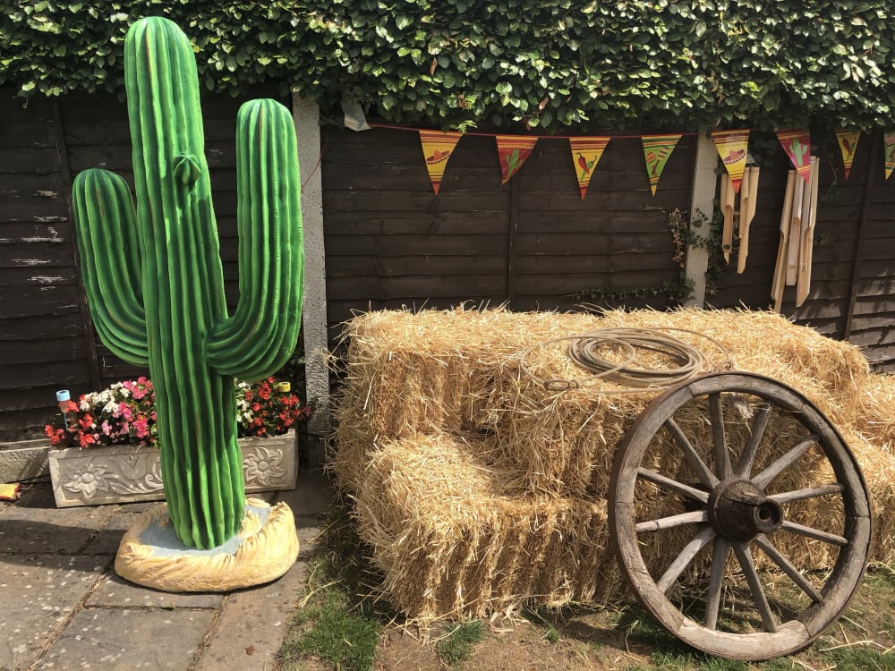 6ft Cactus - Event, Ride & Attraction Hire in Bedford, Cambridge, Luton,  Milton Keynes, Northampton, Peterborough, UK-Wide | Happy Days Events