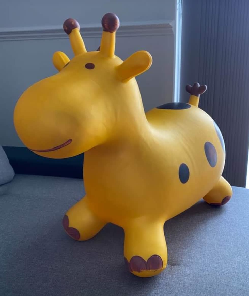 Bouncy store giraffe toy