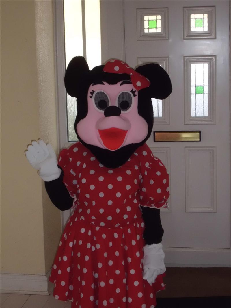 Minnie mouse mascot on sale costume