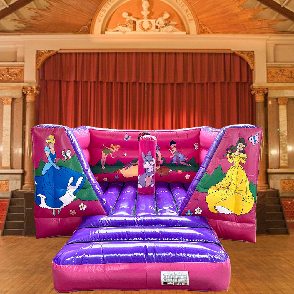 Indoor cheap princess castle