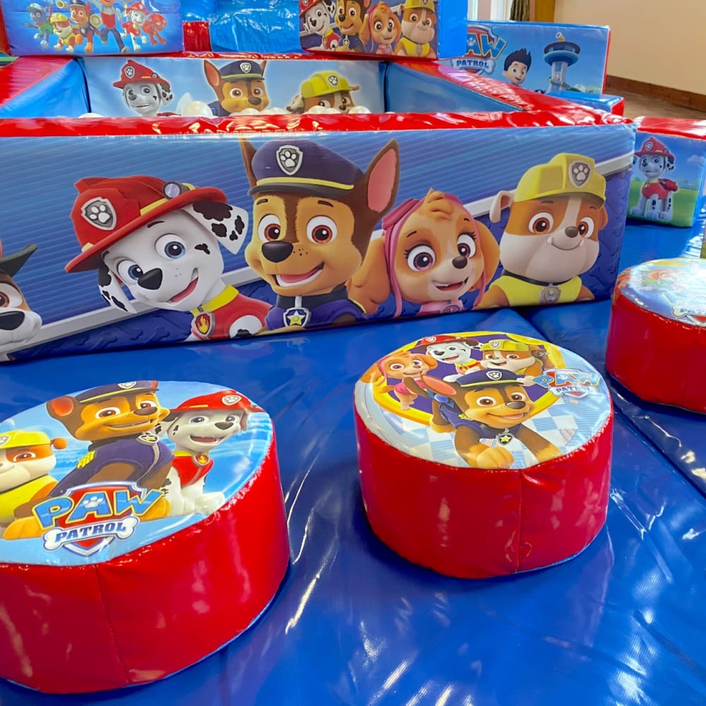 Paw patrol ball deals pit