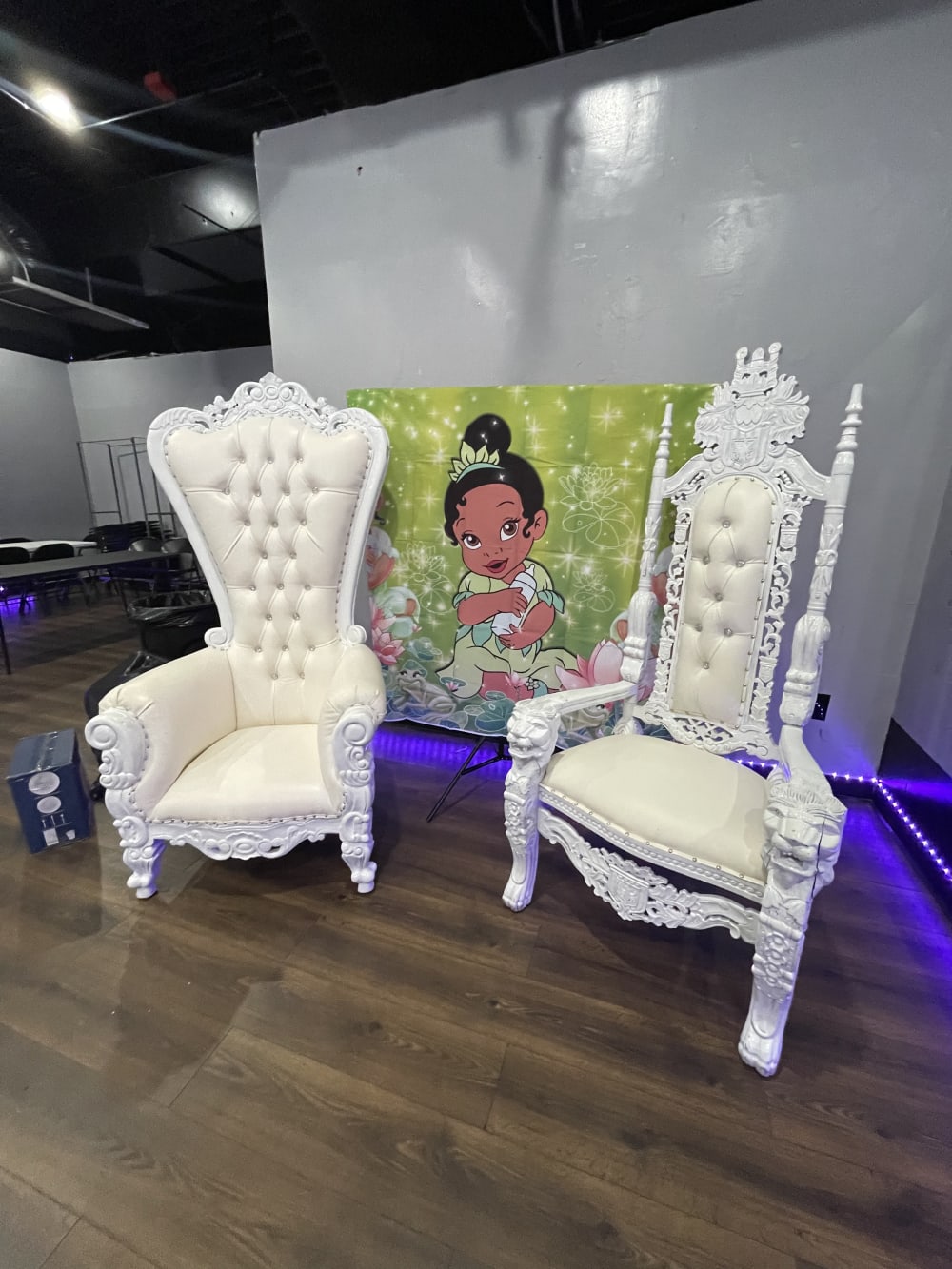 Rent a 2025 princess chair
