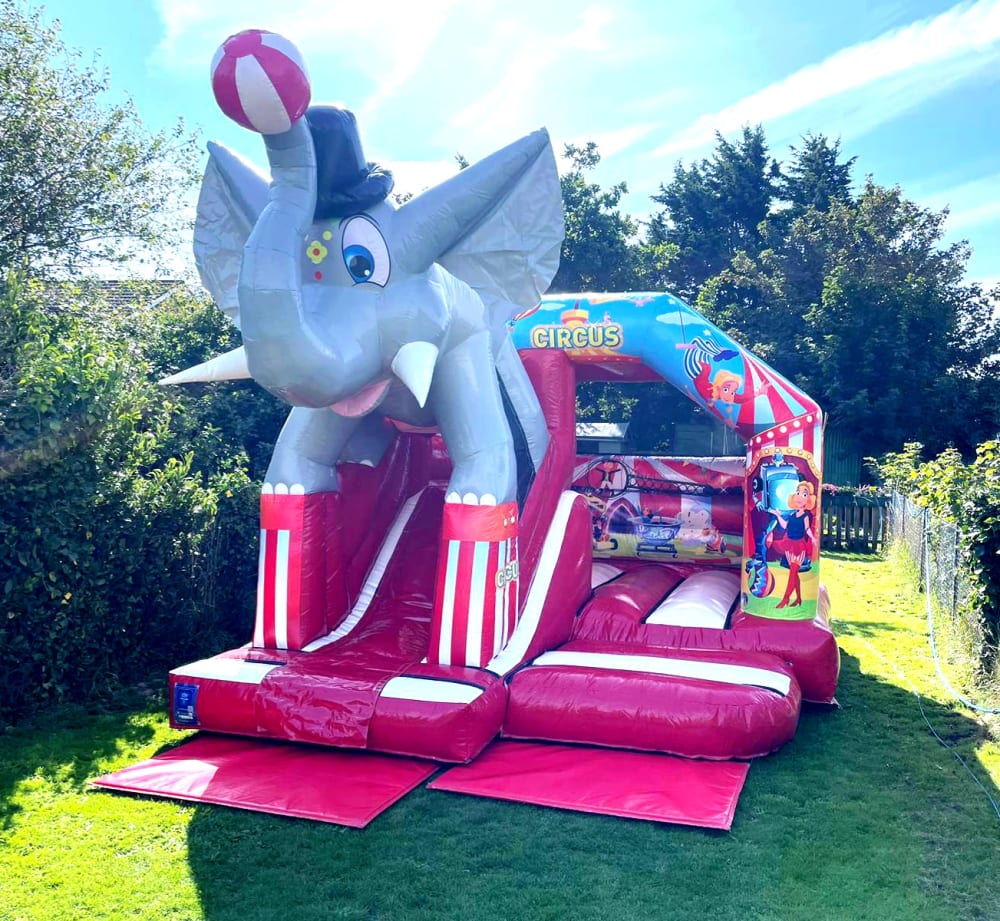 3D CIRCUS bounce and slide - Bouncy Castle Hire in Isle Of Wight