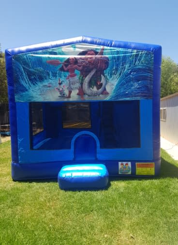 Moana Jumping Castle Uc4 Jumping Castle Hire In Adelaide Elizabeth Salisbury Gawler