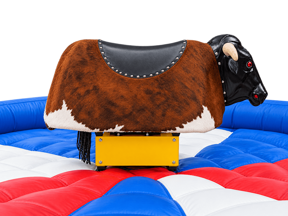 Rodeo Bull Hire