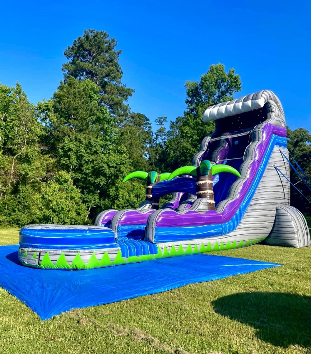 24ft Wild Waves Slide for Pools (S46) – Mom's Party Rental