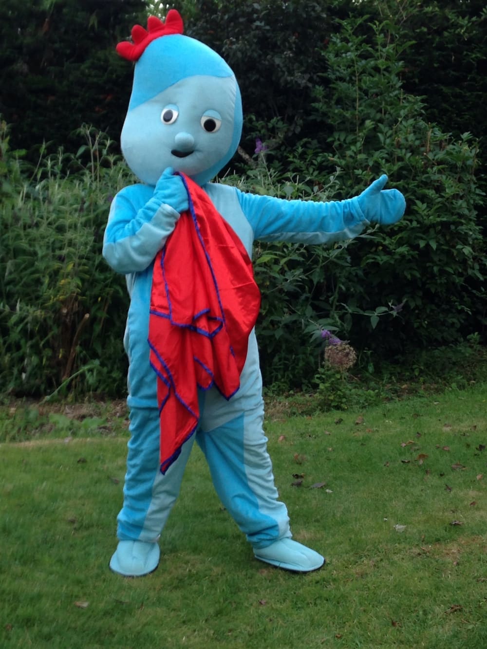 Iggle Piggle Mascot Costume - Bouncy Castle Hire in Essex