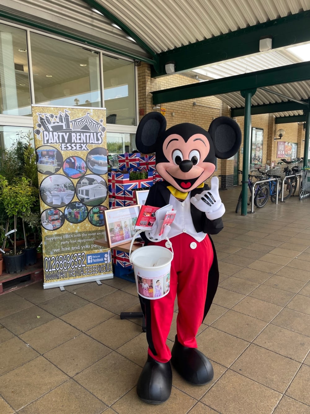 Mickey and minnie deals mascot costume