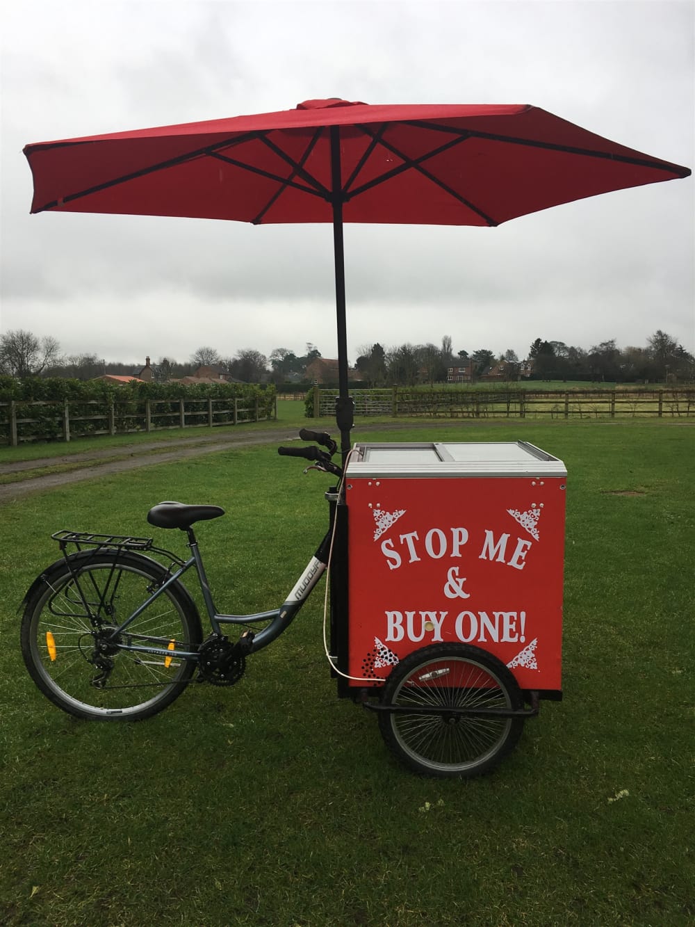 Vintage ice hot sale cream bike