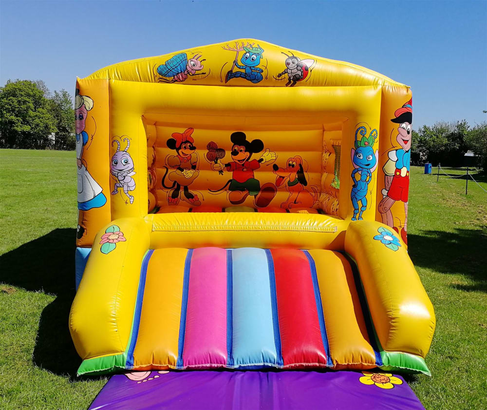 Disney Bouncy Castle Hire from GFC Leisure | Essex & Hertfordshire