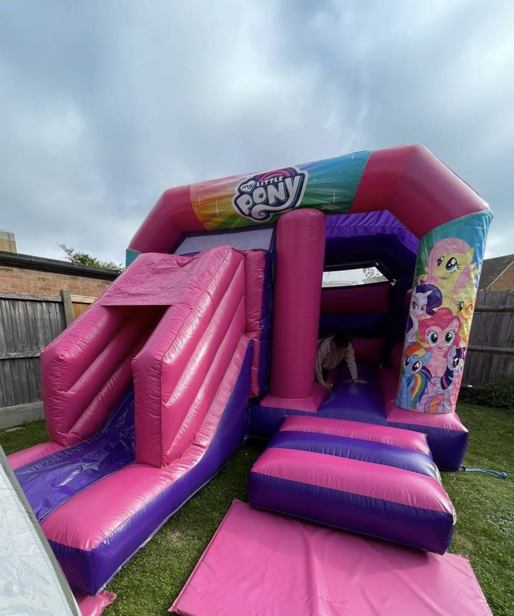 My little pony hot sale castle with slide