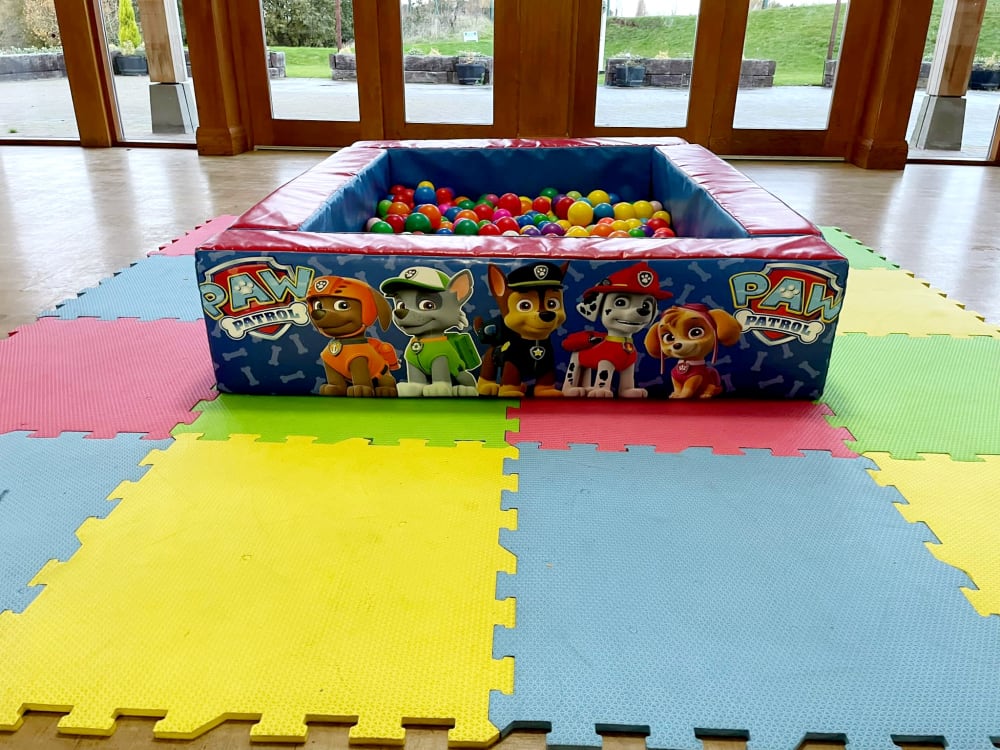 Paw patrol ball pit discount