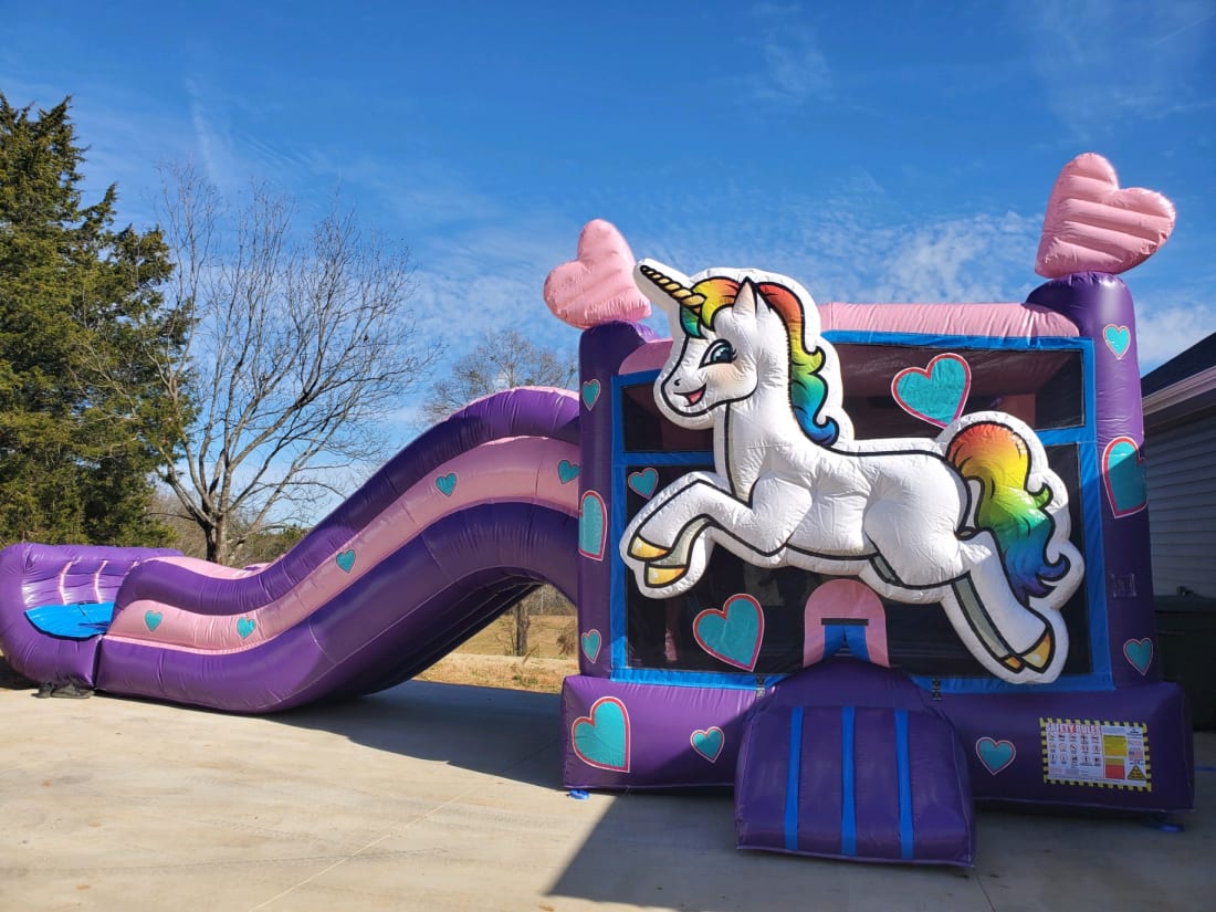 Water Slide Rentals Dallas