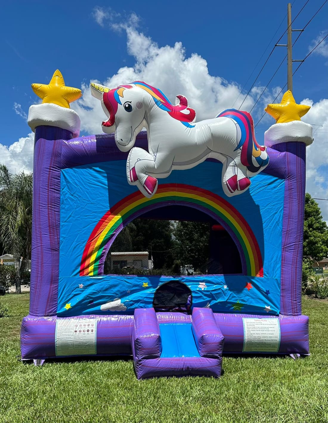 Unicorn Bounce House - Inflatable Rentals in Plant City, Lakeland, Valrico,  Seffner, Brandon, Tampa | Joyful Jumps
