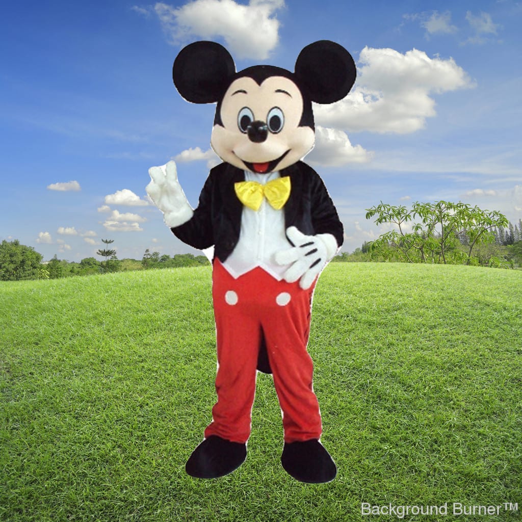 Mickey and minnie mascot on sale costume