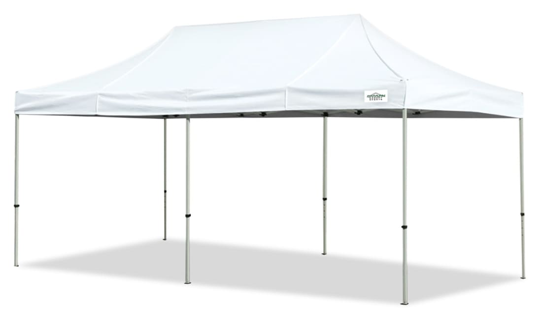 10x20 canopy 2024 rental