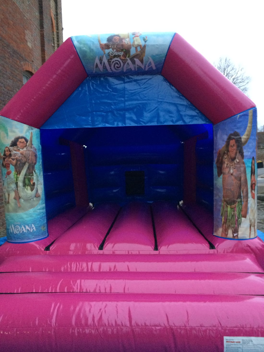 Moana Bouncy Castle Hire Cheap Online Shopping