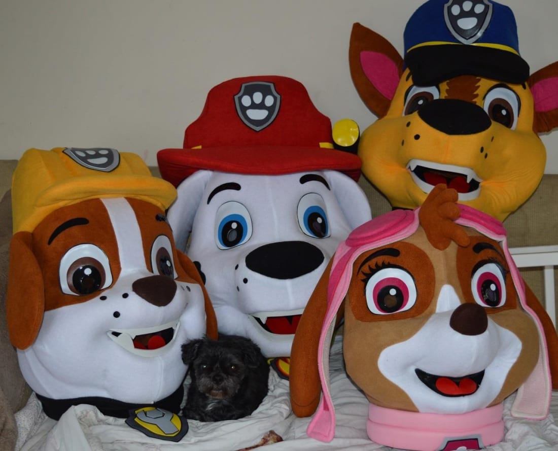 Chase 2 Paw Patrol Mascot costume - Bouncy Castle Hire in Essex