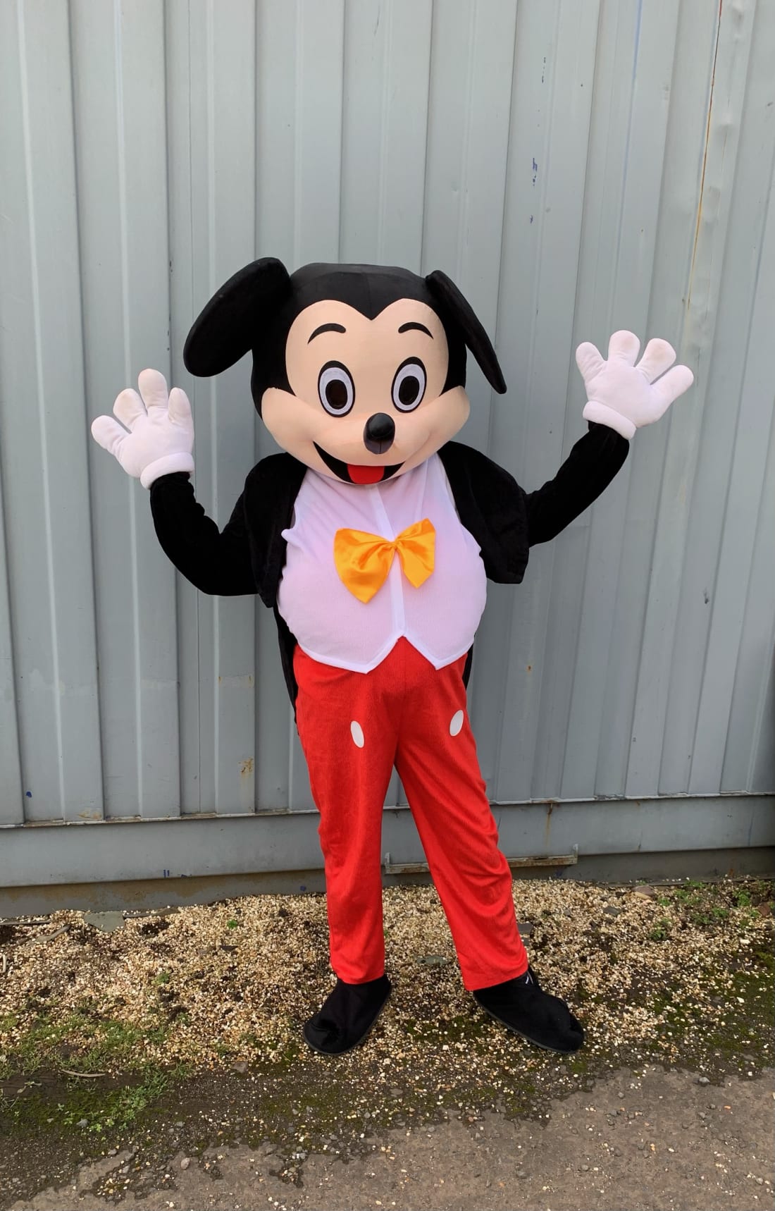 Old mickey mouse mascot ubicaciondepersonas cdmx gob mx