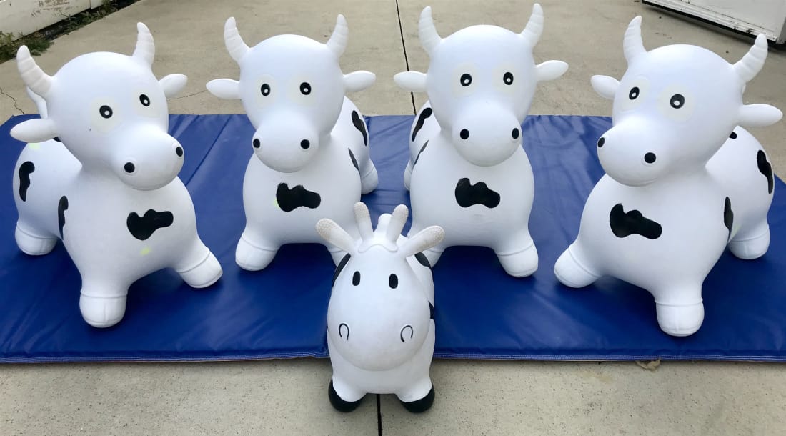 Inflatable bouncy hot sale cow