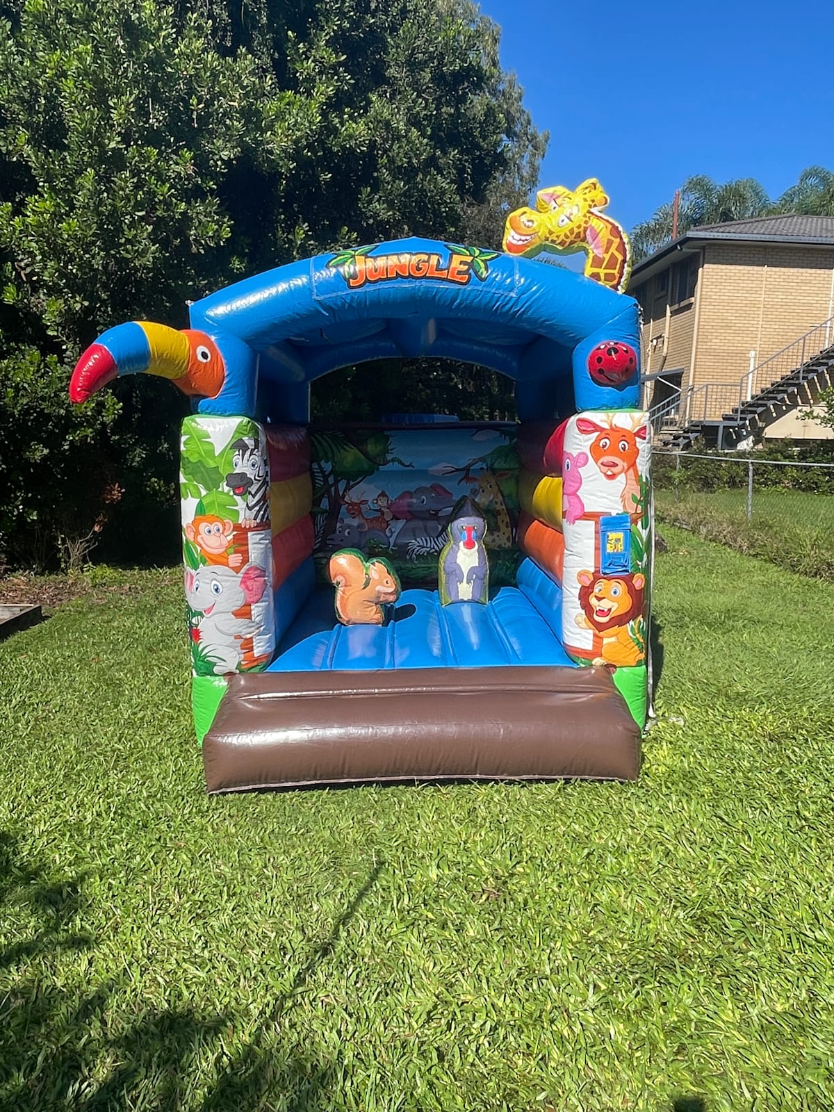 Baby Jungle Bouncer