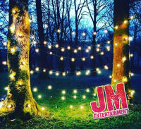 Festoon Lights 280 bulbs (100m) image