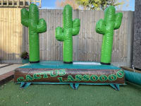 Cactus Lasso