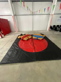 Adult Sumo Suit Hire image