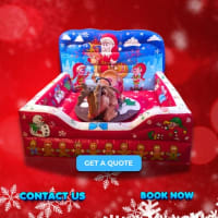 Children's Rodeo Reindeer Hire