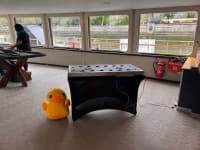 Pluck A Duck Hire image