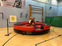 Rodeo Reindeer Hire image
