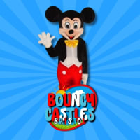Micky mouse visit 30 mins