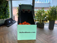Bespoke Branded Arcade Basketball Hire - 2 Player image