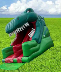 Dino 10ft Platform Slide