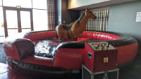 Rodeo Horse Hire image