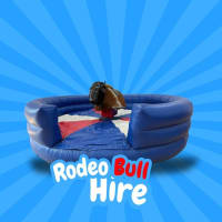 Bucking Bronco hire (Full day)