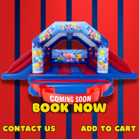 Double Side Slide Bouncy Castle
