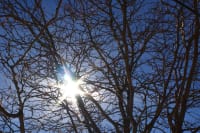 How to make your inflatable rental business work over winter