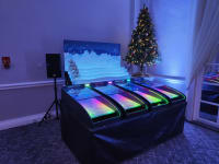 Roll a Ball Reindeer Racing Hire image