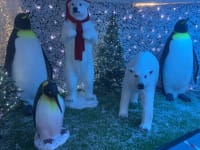 Penguin Adult Prop image