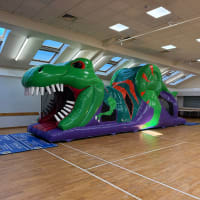 3D Dinosaur Obstacle Assault Course 35ft