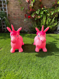 Unicorn Hoppers pink x2 hire