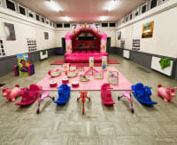 Premium Pink Party Package