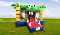 3D Croc Bish Bash