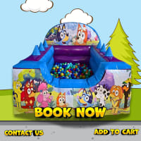 Bluey ball pool Hire