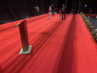 Bespoke Rope & Pole / Red Carpet image