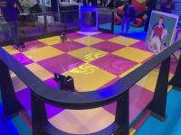 Mobile Roller Skating Rink Hire (5m x 5m) image