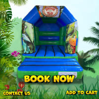 Dinosaur train 9ft x 11ft Hire