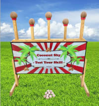 Carnival Coconut Shy