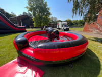 Rodeo Bull Hire image